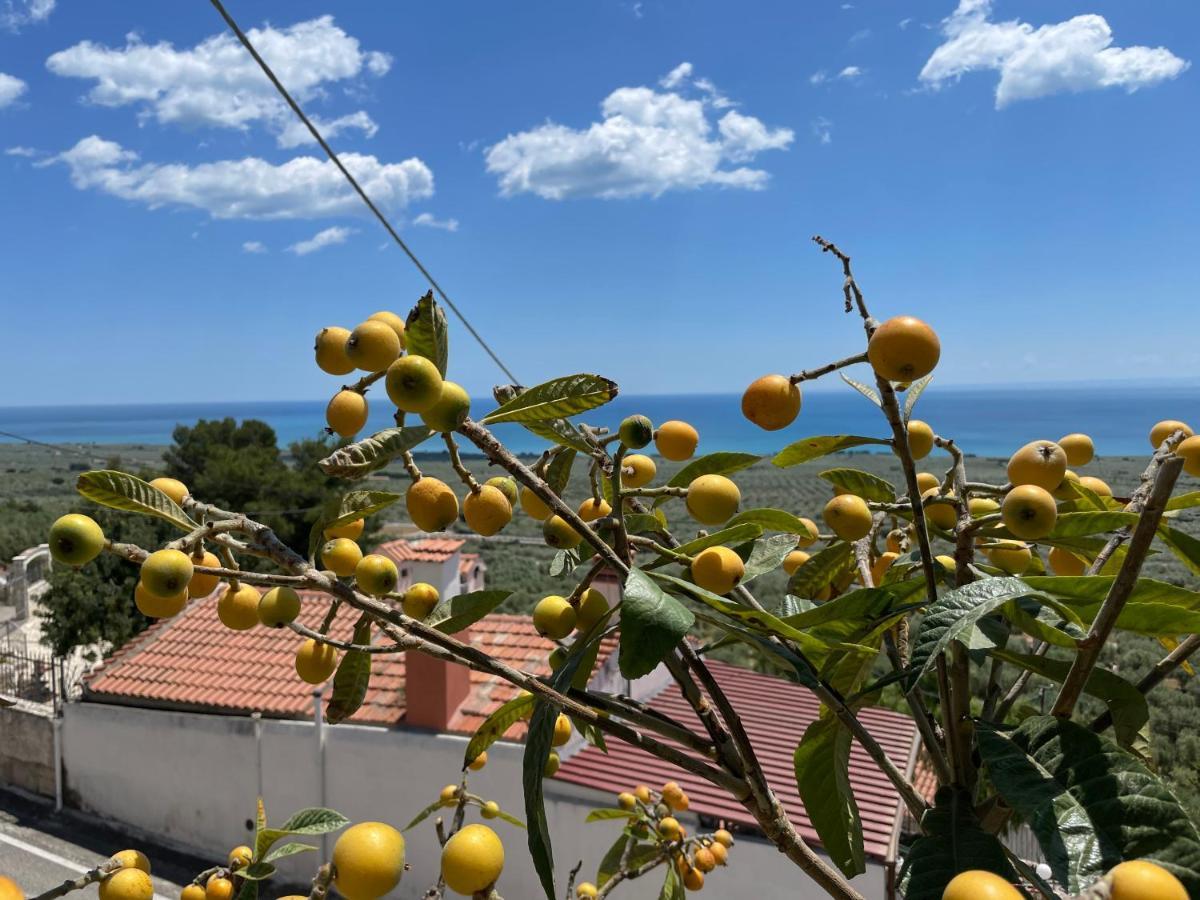 Monte SantʼAngelo Villetta - Qui Dove Il Mare Luccica - Affitti Brevi Italia מראה חיצוני תמונה