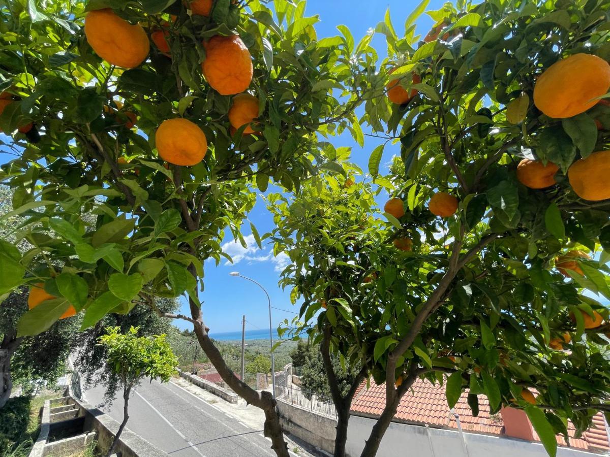 Monte SantʼAngelo Villetta - Qui Dove Il Mare Luccica - Affitti Brevi Italia מראה חיצוני תמונה