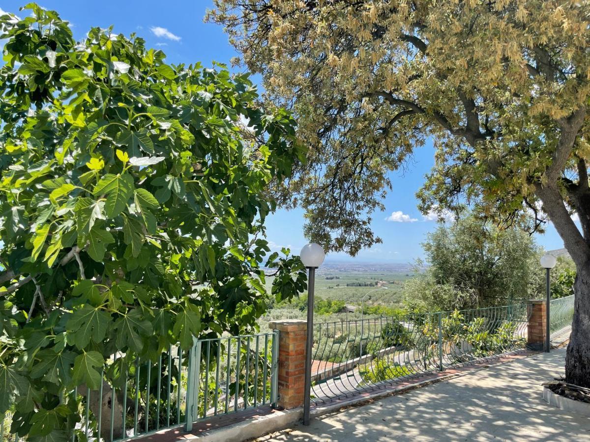Monte SantʼAngelo Villetta - Qui Dove Il Mare Luccica - Affitti Brevi Italia מראה חיצוני תמונה